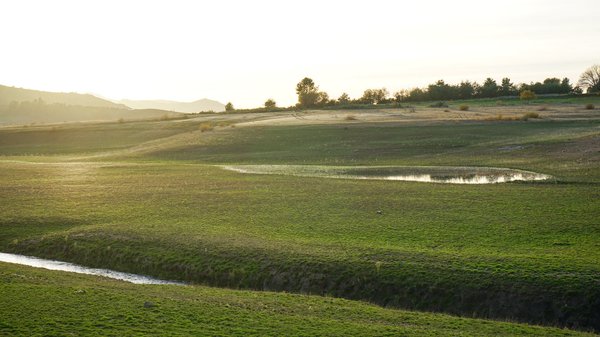 How do indigenous knowledge systems contribute to sustainable land management?